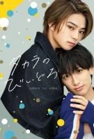 Стёклышки Такары