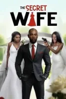 Тайная жена